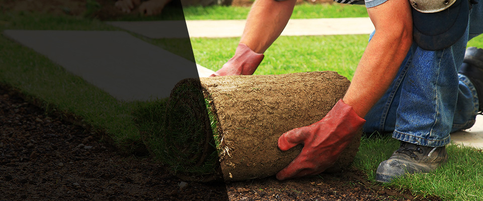 Hattiesburg Landscapers